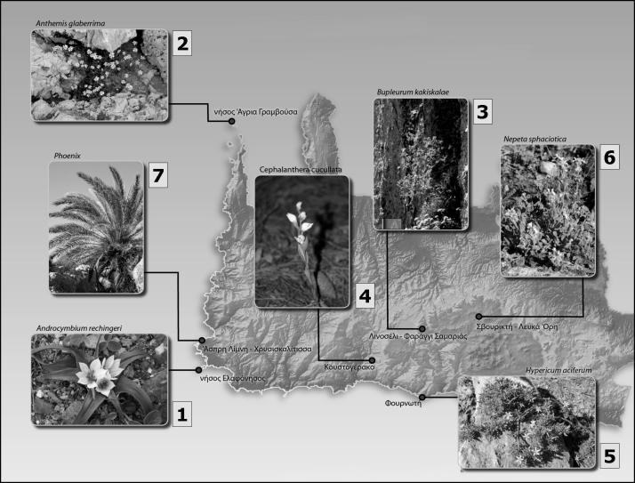 139 Σχήµα 1. Το ίκτυο Μικρο-Αποθεµάτων Φυτών στη υτική Κρήτη (Νοµός Χανίων). (Χάρτης, φωτογραφίες και γραφικά: από την αφίσα του προγράµµατος CRETAPLANT παραγωγή ΜΑΙΧ, Μάιος 2006.