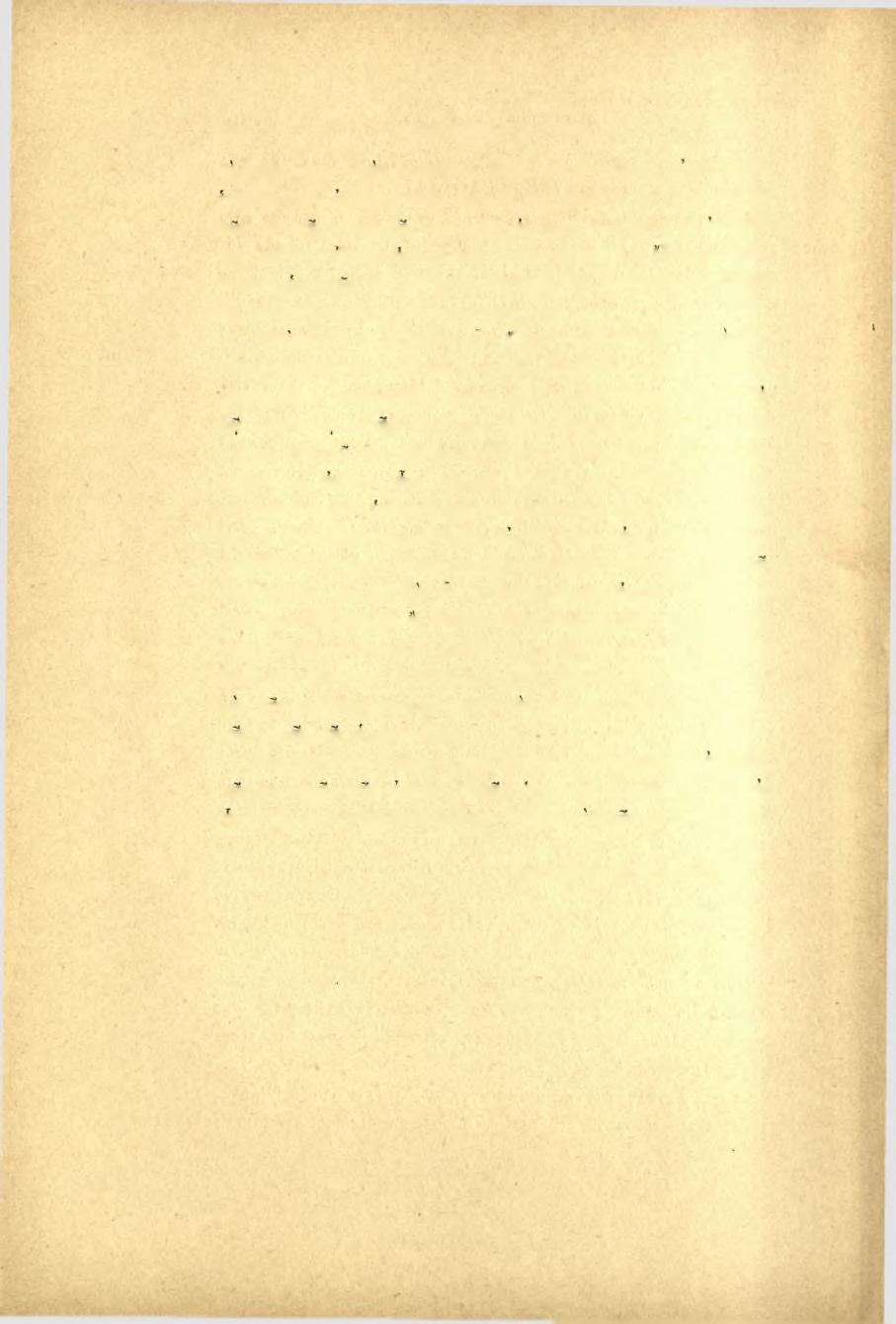 HO ΠΡΑΚΤΙΚΑ TOT 1898 το πέρας της. Προς άνατολάς ιδίως αύτοΰ ΐκανώς ευρύς χώρος υπολείπεται ανεξερεύνητος έτι, εις δν φέρουσι τά ίχνη κτιρίων των πρό της οικοδομής τοΰ ναοΰ εποχών.