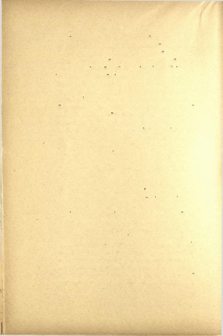 20 ΠΡΑΚΤΙΚΑ TOT 1898 σης των Θαλασσών Κορίνθου, μεταξύ των όποιων ώς πρώτος έπινοητής νέων τρόπων φέρεται έν τη παραδόσει ό Βουτάδης, είργάσθησαν καί πλησιέστερον της γενετείρας αύτών πόλεως έντός