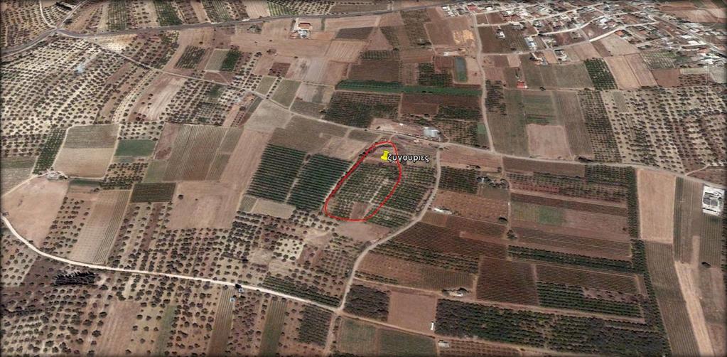 Ακρόπολη με οικισμό και υπολείμματα τειχών (κόκκινο περίγραμμα) Προϊστορικό νεκροταφείο με 53 τάφους στην περιοχή Αμπελάκια Ανασκαφές από