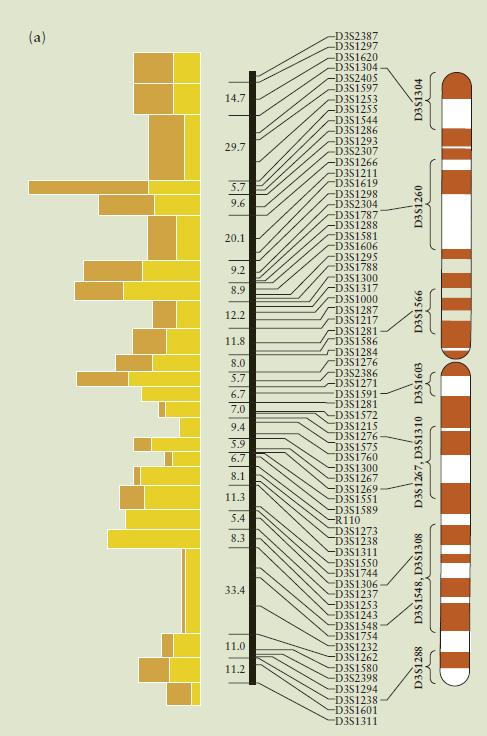 Human Genome Project Στον άνθρωπο, το γονιδίωμα αποτελείται από 3 δισεκατομμύρια ζευγάρια βάσεων 1,1-1,5 % κωδικοποιεί πρωτεΐνες ;;;;;;;;;;; κατανόηση της λειτουργίας ή της σχέσης