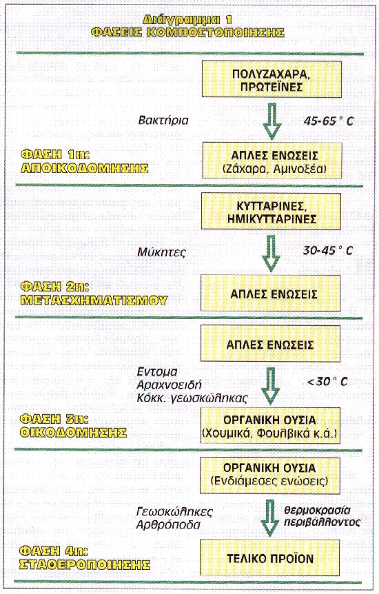 ιάγραµµα 1.15: Φάσεις Κοµποστοποίησης (http://www.chania.teicrete.