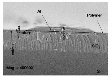 IDC. M. Kitsara et al.