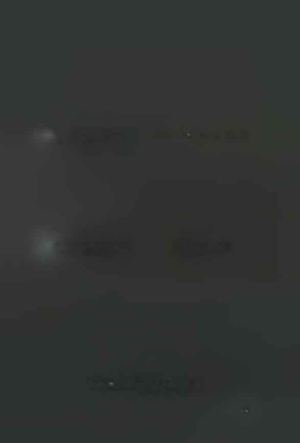 Μαΐου 2011 Εικόνα 8: Φυτό στέβιας στις 25 Μαΐου 2011 Εικόνα