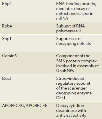 Αποικοδόμηση mrna