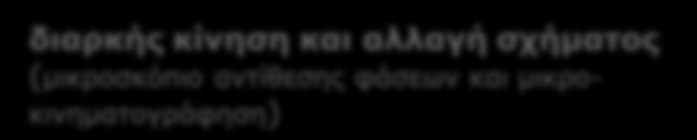 ανάλογα με τον τύπο και τη μεταβολική κατάσταση και τις συγκεκριμένες λειτουργικές ανάγκες των