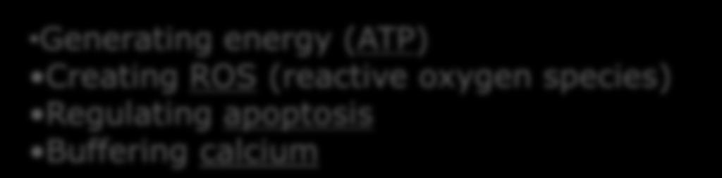 ΕΙΣΑΓΩΓΗ Generating energy (ATP) Creating ROS (reactive oxygen species) Regulating apoptosis Buffering calcium 1.