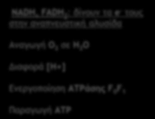 Krebs reactions transfer energy from the progressive oxidation of substrates to two types of energy carriers, NAD and FAD ΛΕΙΤΟΥΡΓΙΑ 2.