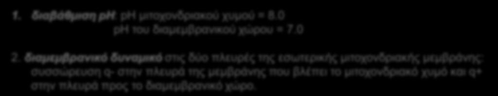 ΛΕΙΤΟΥΡΓΙΑ ΑΝΑΠΝΕΥΣΤΙΚΗ ΑΛΥΣΙΔΑ 10 πρωτόνια μεταφέρονται διαμέσου της εσωτερικής μεμβράνης