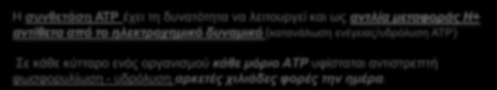 ΔΟΜΗ-ΛΕΙΤΟΥΡΓΙΑ Σύμπλεγμα ΑΤΡάσης F 0 F 1 ΕΣΩΤ. ΜΕΜΒΡΑΝΗΣ ΜΙΤΟΧΟΝΔΡΙΟΥ σύνθεση ΑΤΡ vs.