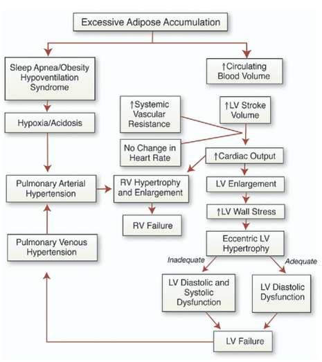 Is there obesity cardiomyopathy?