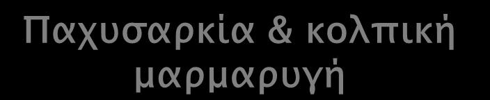 Παφτςαπκία &