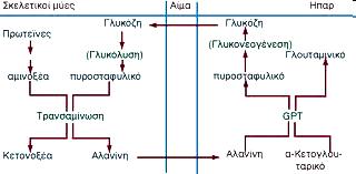 Σύνθεση