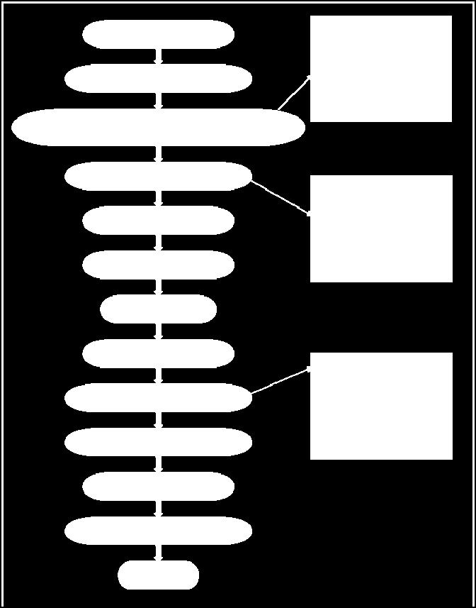 Σχήμα 10.