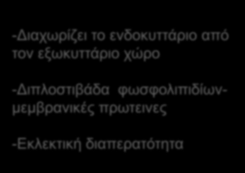 φωσφολιπιδίωνμεμβρανικές πρωτεινες -Εκλεκτική