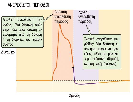 Περίοδος Απόλυτης & Σχετικής