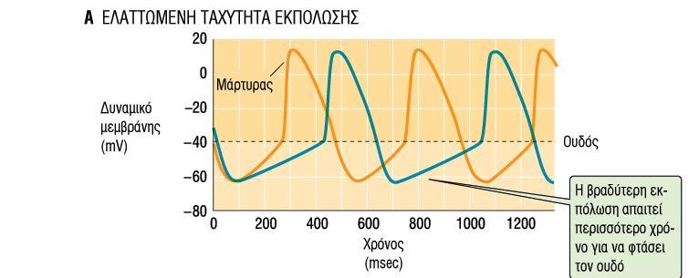 Δράση mach στην