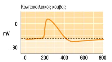 Καρδιακής