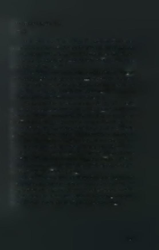 6. Η Καλλιέργεια της Τομάτας 6.1 Γενικά Η τομάτα είναι κατά κανόνα ετήσιο λαχανικά αρκετά διαδεδομένο και πολύ δημοφιλές.