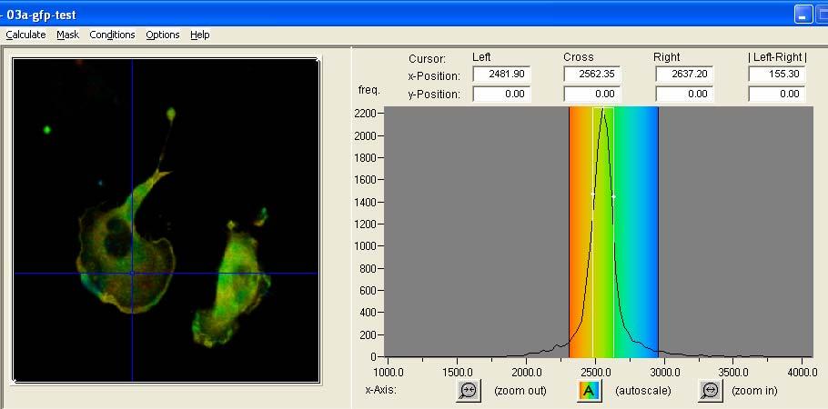 FLIM Lifetime histogram Ταυτόχρονη διέγερση πολλών ηλεκτρονίων και προσδιορισμός του