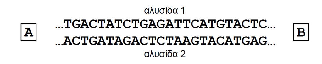 Μονάδες 2 2. Να γράψετε το mrna που προκύπτει από τη µεταγραφή του παραπάνω γονιδίου, σηµειώνοντας τον προσανατολισµό του (µονάδες 2). Να αιτιολογήσετε την απάντησή σας (µονάδες 6). 2013 ΟΜΟΓΕΝΕΙΣ A2.