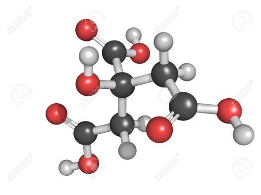 Το δεύτερο σε ποσότητα οξύ του πορτοκαλοχυμού είναι το μηλικό οξύ (1,4-1,8 mg/ml).