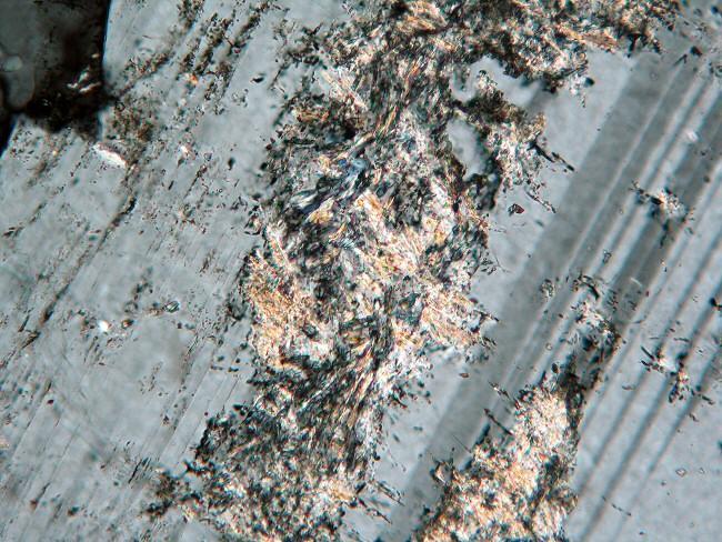 edu/hollochk/c_petrology/ig_minerals/sericite1-x-100x.