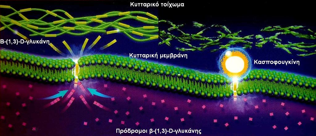 μπλε: άζωτο). (τροποποιημένη) 22