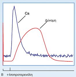 προκαλεί της παροδικής ενδοκυττάριας [Ca 2+ ] και άρα