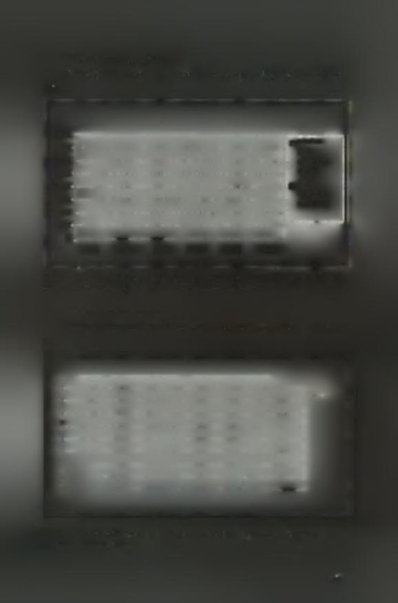 1600 1400 1200 1000 kg 800 600 400 200 0 2001 2002 2003 2004 2005 2006 - συνολικό βάρος