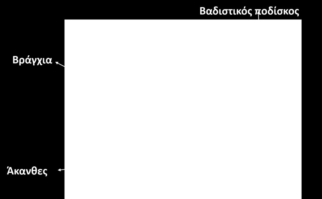 95 Ενότητα 19.