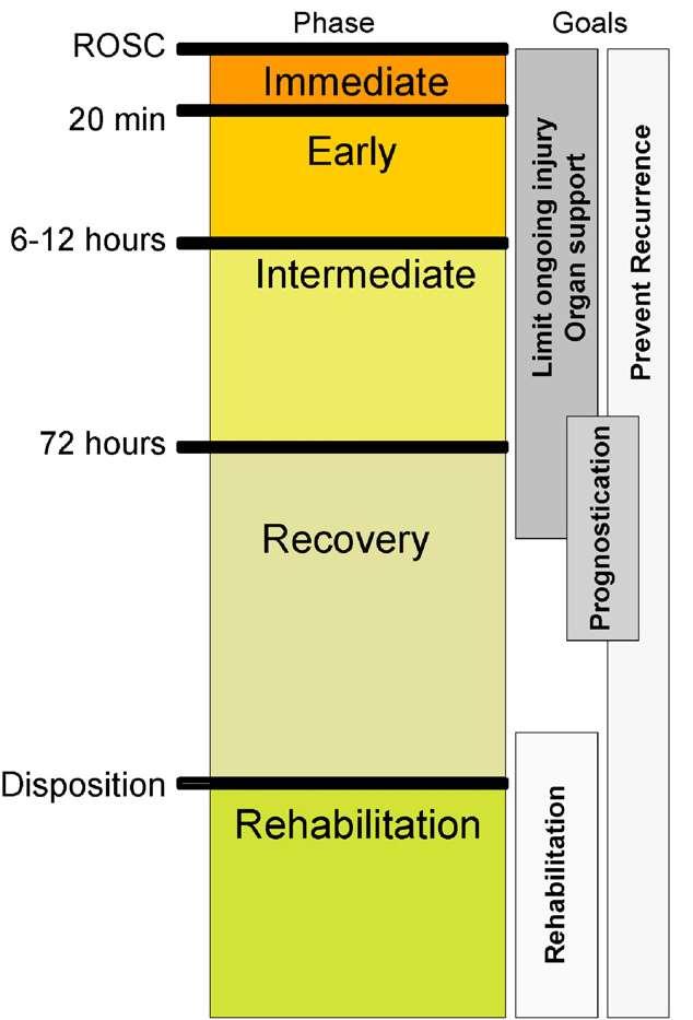 ILCOR CONSENSUS STATEMENT Post-cardiac arrest syndrome Εγκεφαλική βλάβη μετά την καρδιακή ανακοπή Μυοκαρδιακή δυσλειτουργία μετά