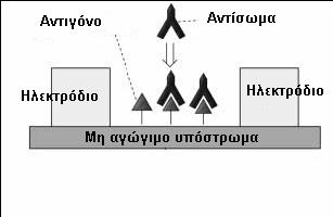 Εμπεδησιομετρικοί ανοσοαισθητήρες Βασίζονται στην ακινητοποίηση ενός αντιγόνου μεταξύ δύο ηλεκτροδίων που δρουν ως οπλισμοί πυκνωτή Το αντιγόνο