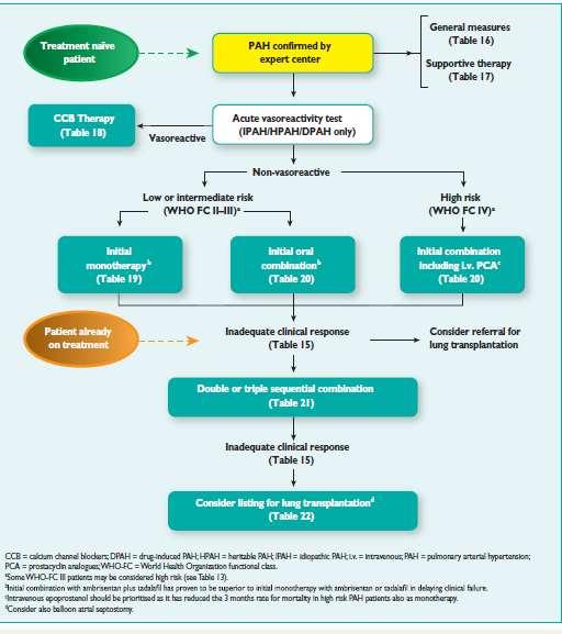 2015 ESC/ERS Guidelines for the diagnosis and treatment of pulmonary