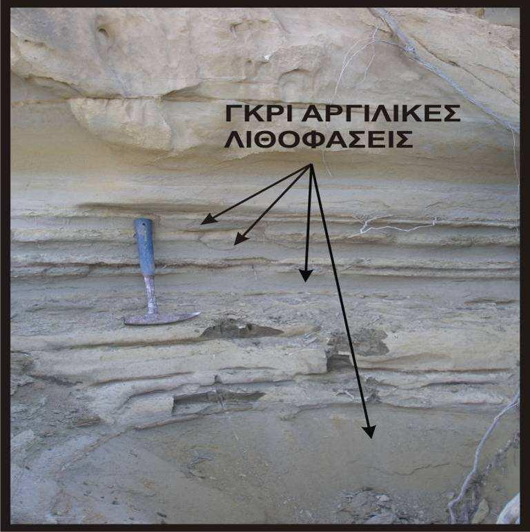 παρουσιάζουν µία σχετικά καλή κυκλοθεµατική ανάπτυξη. O ορίζοντας αυτός συνεχίζει για περίπου 10m ανατολικά και µετά χάνεται.