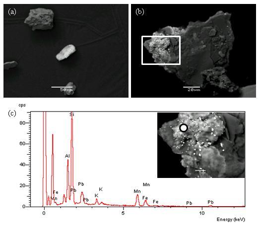 SEM microphotographs in back scatter mode showing PHE enriched soil grains from Athens soil