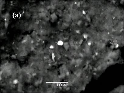 32 wt %) - bearing iron oxide phase, (b) Aluminosilicate grain encrusted by Mn-Fe oxide