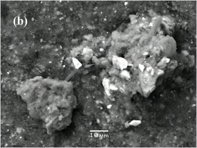 (c) Detail of (b) showing Mn-Fe oxide phase (bright) which is enriched in Pb (14.