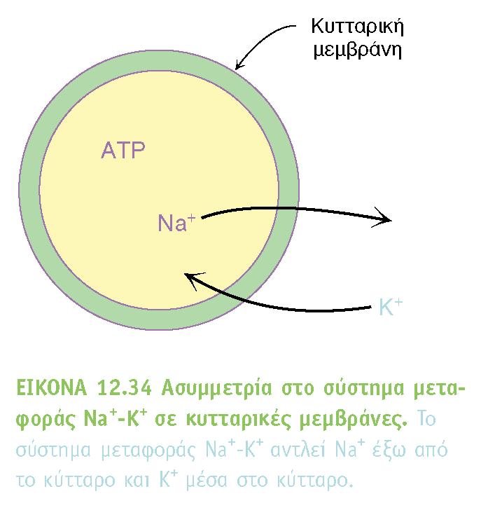 BIOXHMEIA, TOMOΣ I