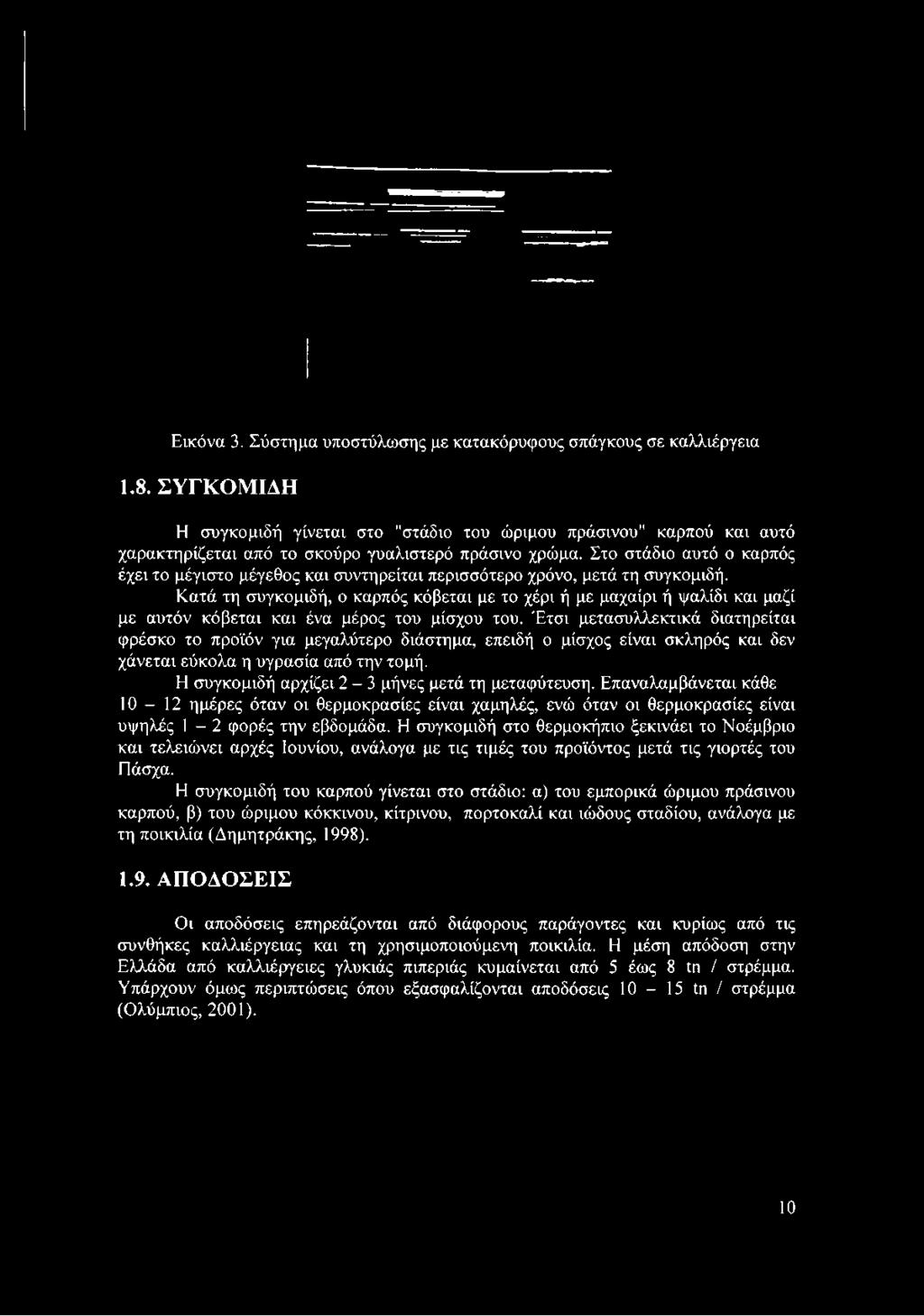 Στο στάδιο αυτό ο καρπός έχει το μέγιστο μέγεθος και συντηρείται περισσότερο χρόνο, μετά τη συγκομιδή.