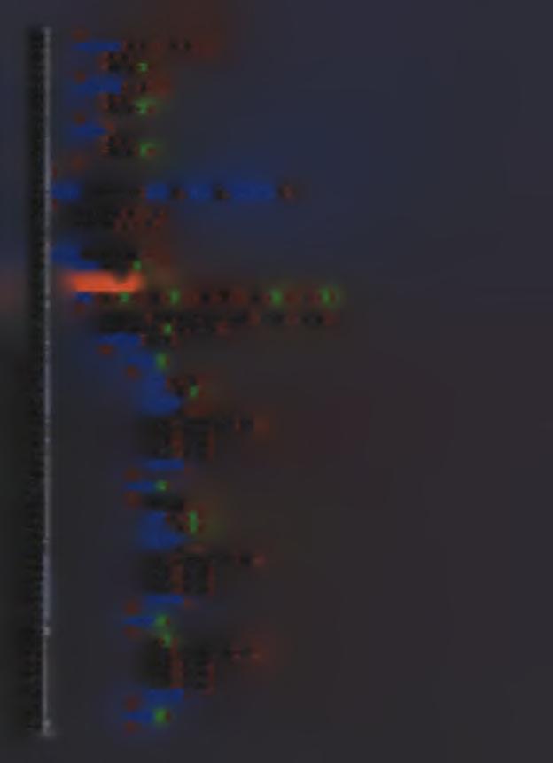 68 69 70 71 72 73 74 75 76 77 78 79 80 81 82 83 84 85 86 87 88 89 90 91 92 93 94 95 96 97 98 99 100 101 102 103 104 105 106 107 108 109 110 111 112 113 114 115 116 117 118 119 120 121 122 123 124 125