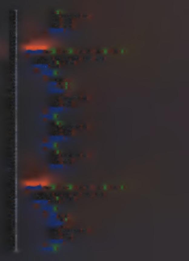 135 136 137 138 139 140 141 142 143 144 145 146 147 148 149 150 151 152 153 154 155 156 157 158 159 160 161 162 163 164 165 166 167 168 169 170 171 172 173 174 175 176 177 178 179 180 181 182 183 184