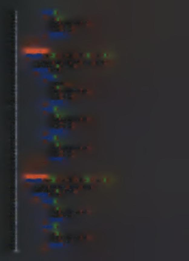 269 270 271 272 273 274 275 276 277 278 279 280 281 282 283 284 285 286 287 288 289 29Θ 291 292 293 294 295 296 297 298 299 300 301 302 303 304 305 306 307 308 309 310 311 312 313 314 315 316 317 318