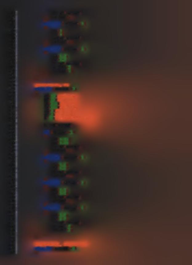 604 605 606 607 608 609 610 611 612 613 614 615 616 617 618 619 620 621 622 623 624 625 626 627 628 629 630 631 632 633 634 635 636 637 638 639 640 641 642 643 644 645 646 647 648 649 650 651 652 653