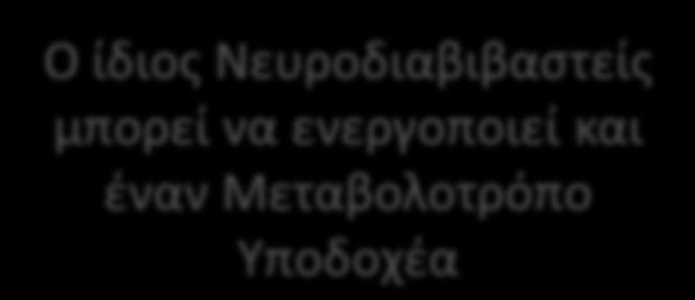 ιοντοτρόπο Υποδοχέα Ο ίδιος Νευροδιαβιβαστείς