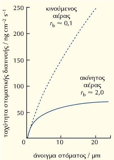 Αντίσταση στην κίνηση των υδρατμών E r 1. Αντίσταση εφυμενίδας, R c (cuticle resistance) 2.