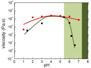 Ρεολογική μελέτη Στο Σχήμα 3 παρουσιάζεται η εξάρτηση του ιξώδους από το ph για διαλύματα 3 % κ.β. του τελεχηλικού πολυαμφολύτη.