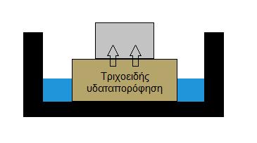 6.3. Τριχοειδής υδαταπορρόφηση του λίθου Ένας από τους πιο αποτελεσματικούς τρόπους αξιολόγησης της δυνατότητας διείσδυσης του νερού στο εσωτερικό των υλικών είναι η μέτρηση της τριχοειδούς