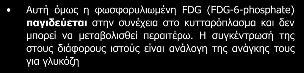 Αυτή όμως η φωσφορυλιωμένη FDG (FDG-6-phosphate)