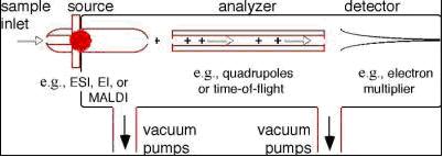 Σχήμα 7. 2: Βασικά μέρη του φασματογράφου μάζας Η βαθμονόµηση του συστήματος GC-MS λαμβάνει χώρα σε καθημερινή βάση πριν τη χρήση του, ώστε να εξασφαλιστεί η βέλτιστη λειτουργία του.